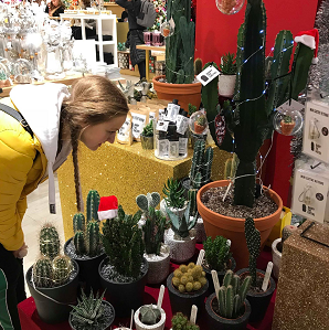 cactus shopping