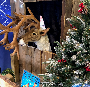 reindeer decor christmas