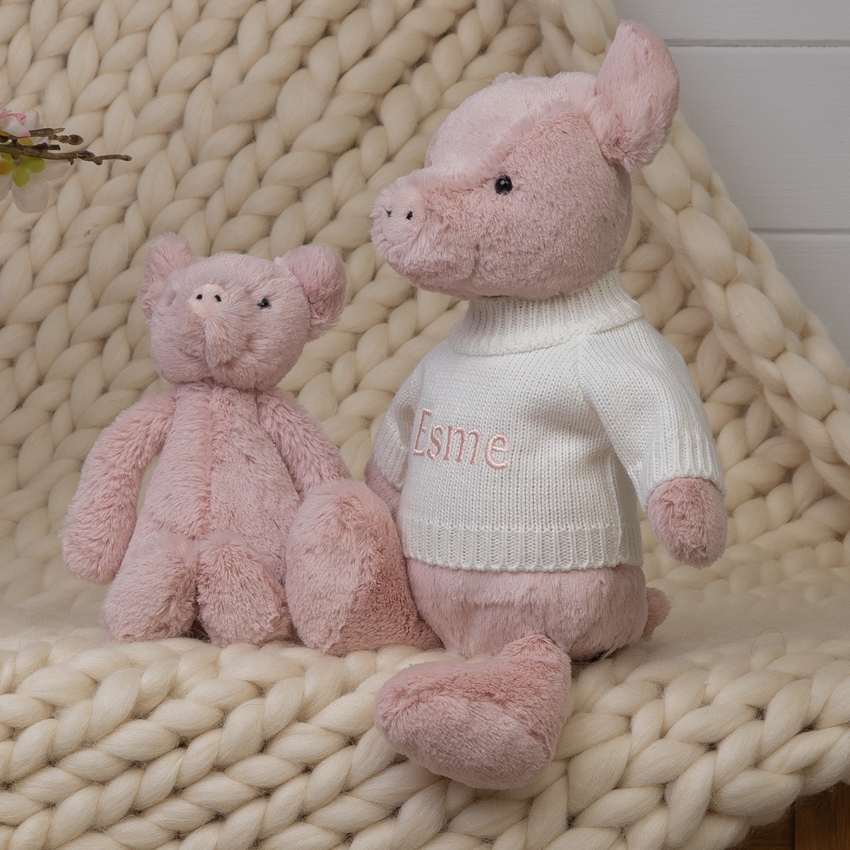 bashful piglet
