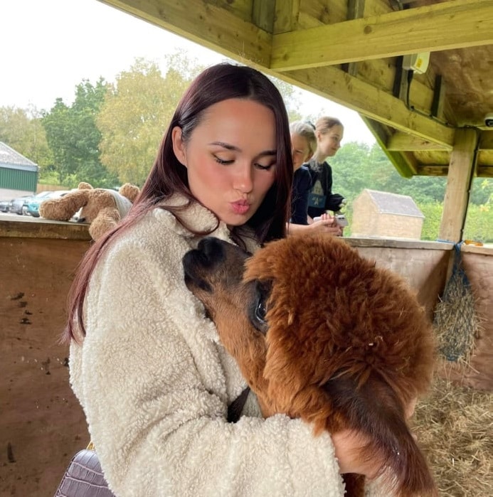 Stroking the Alpacas at The Oaks Barn in Kent