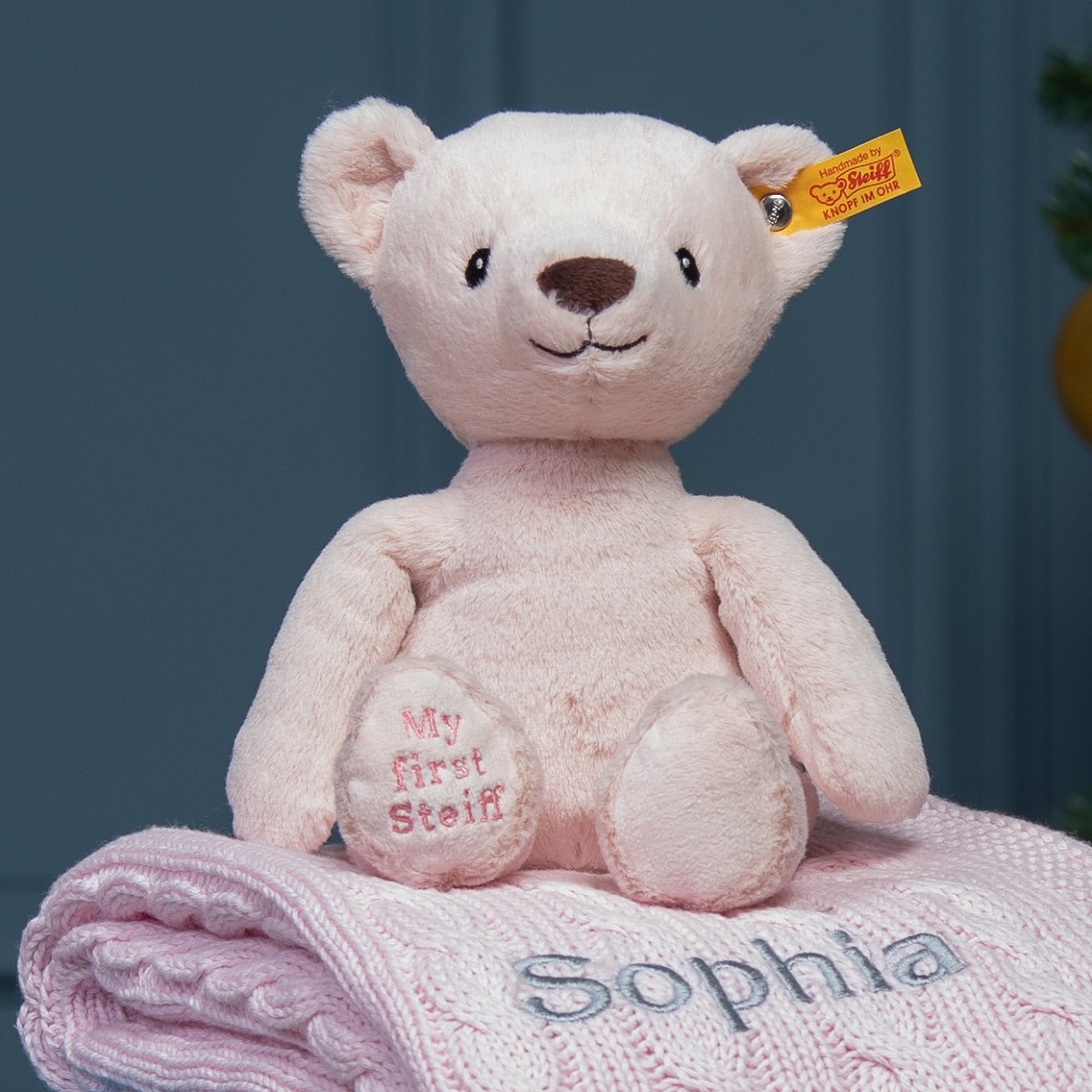 steiff personalised gift set