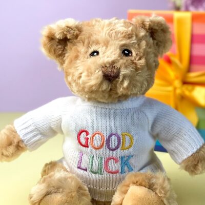 Keeleco recycled small Dougie gift bear soft toy with ‘Good Luck’ jumper 2