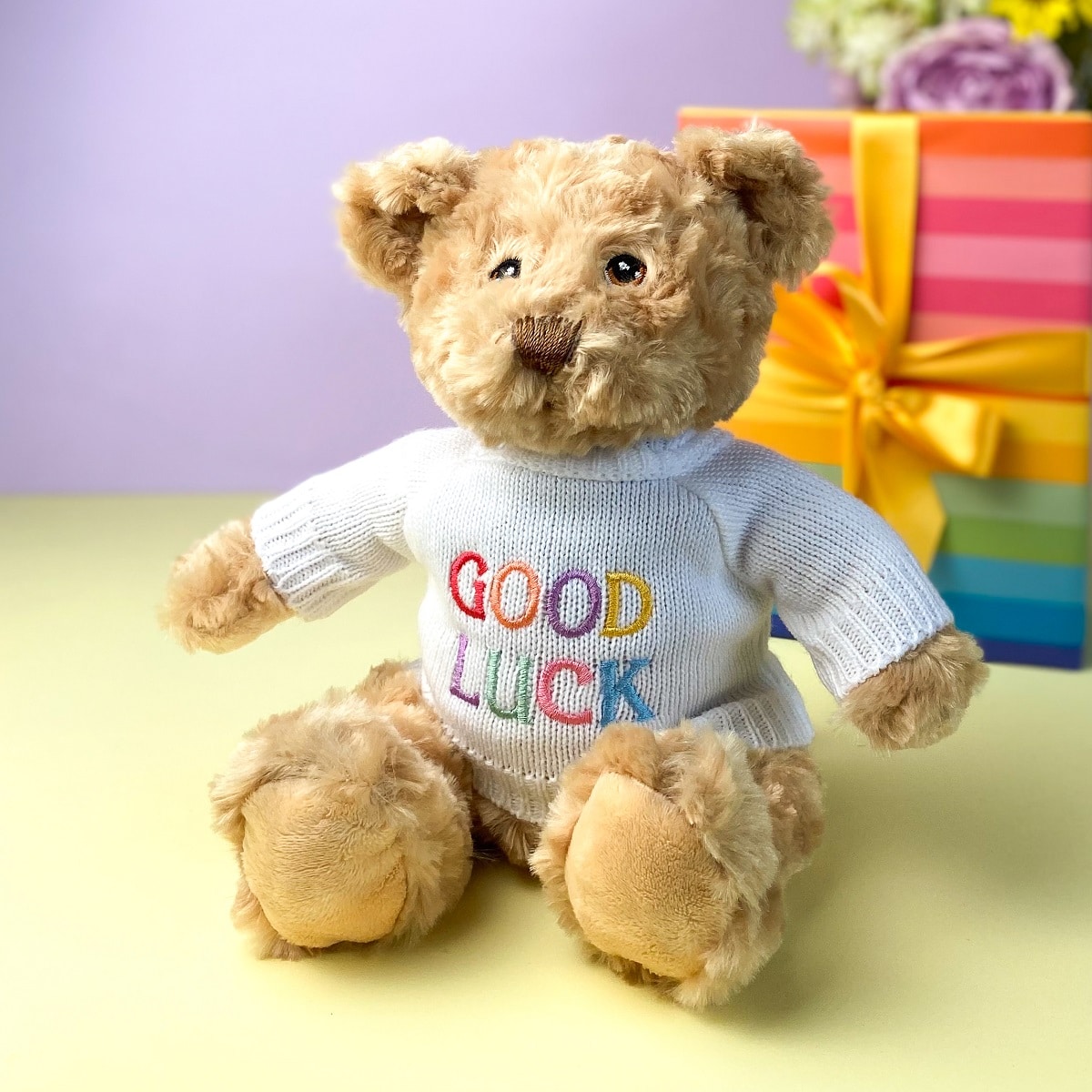 Keeleco recycled small Dougie gift bear soft toy with 'Good Luck' jumper