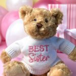 Keeleco recycled small Dougie gift bear soft toy with ‘Best Sister’ jumper For Babies 4