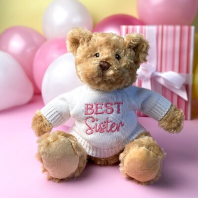 Keeleco recycled small Dougie gift bear soft toy with ‘Best Sister’ jumper For Babies