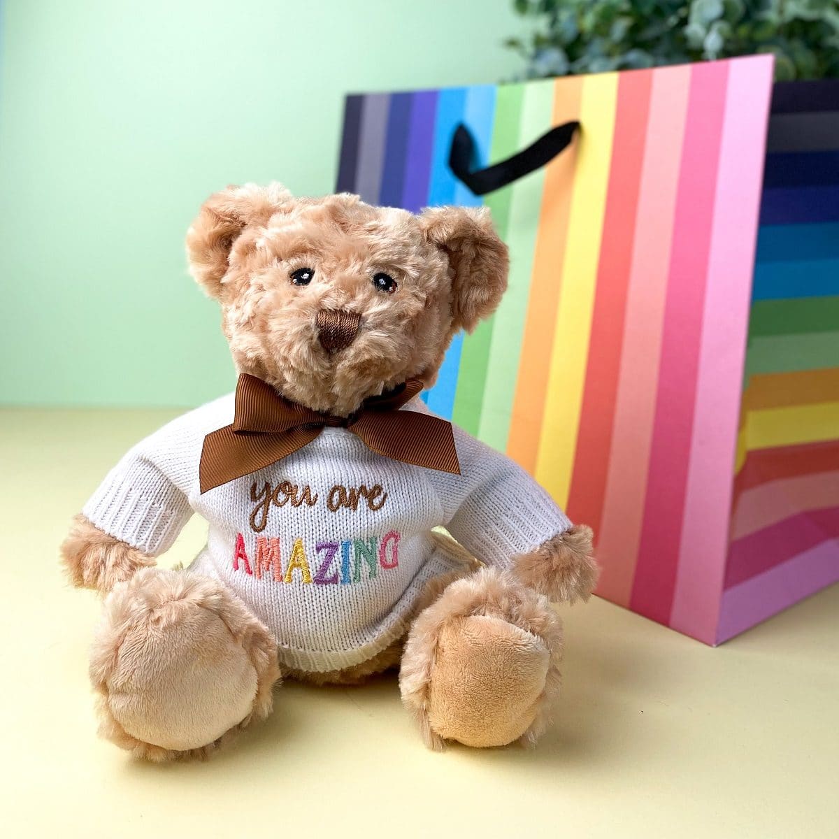 Keeleco recycled small Dougie caring bear soft toy with ‘You Are Amazing’ jumper Graduation Gifts 2