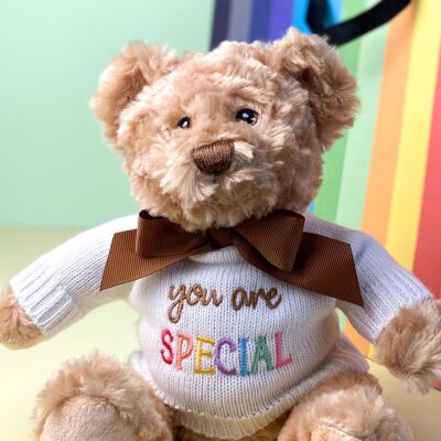 Keeleco recycled small Dougie caring bear soft toy with ‘You Are Special’ jumper Anniversary Gifts 2