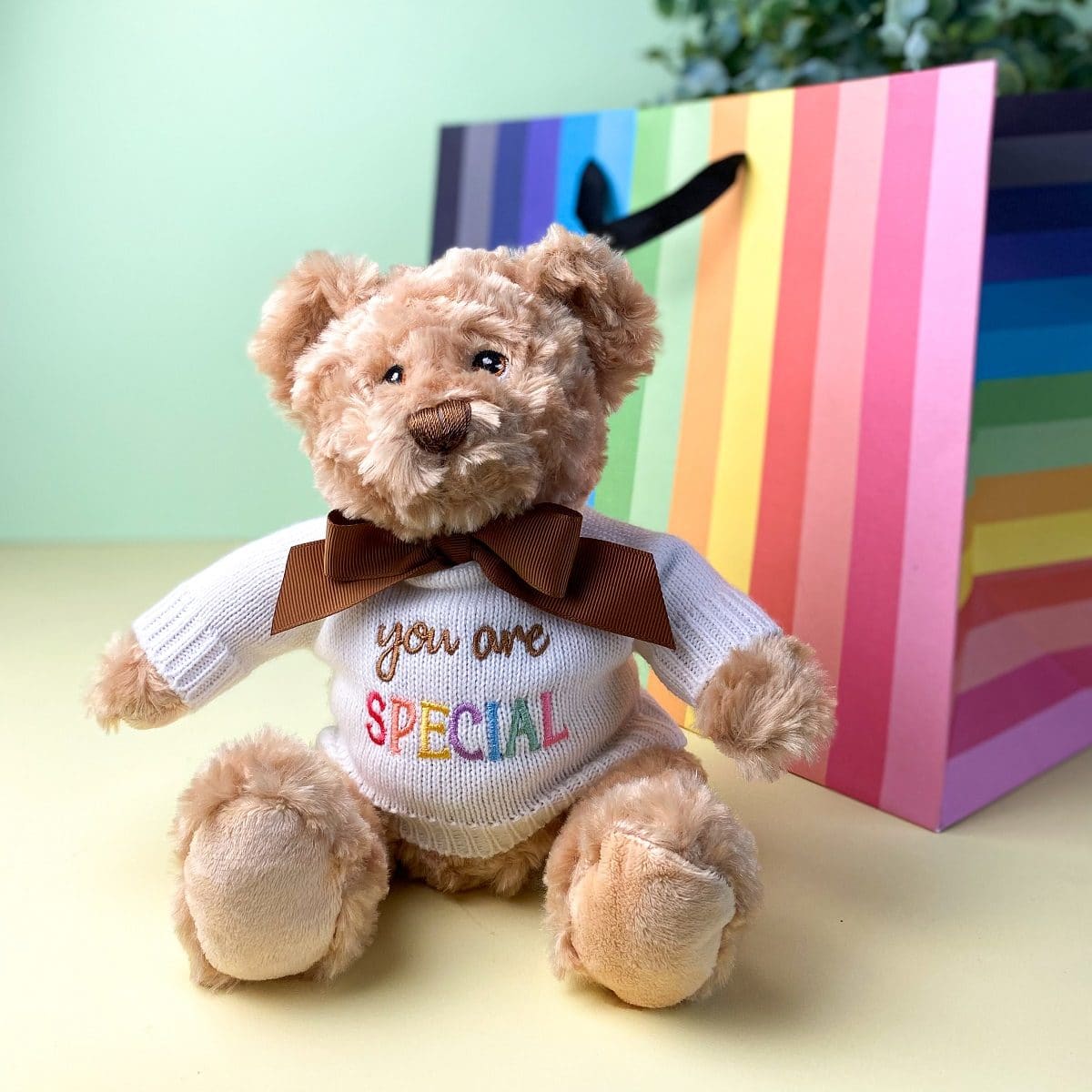 Keeleco recycled small Dougie caring bear soft toy with ‘You Are Special’ jumper Newborn Baby Gifts 2