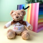 Keeleco recycled small Dougie caring bear soft toy with ‘You Are Special’ jumper Anniversary Gifts 3