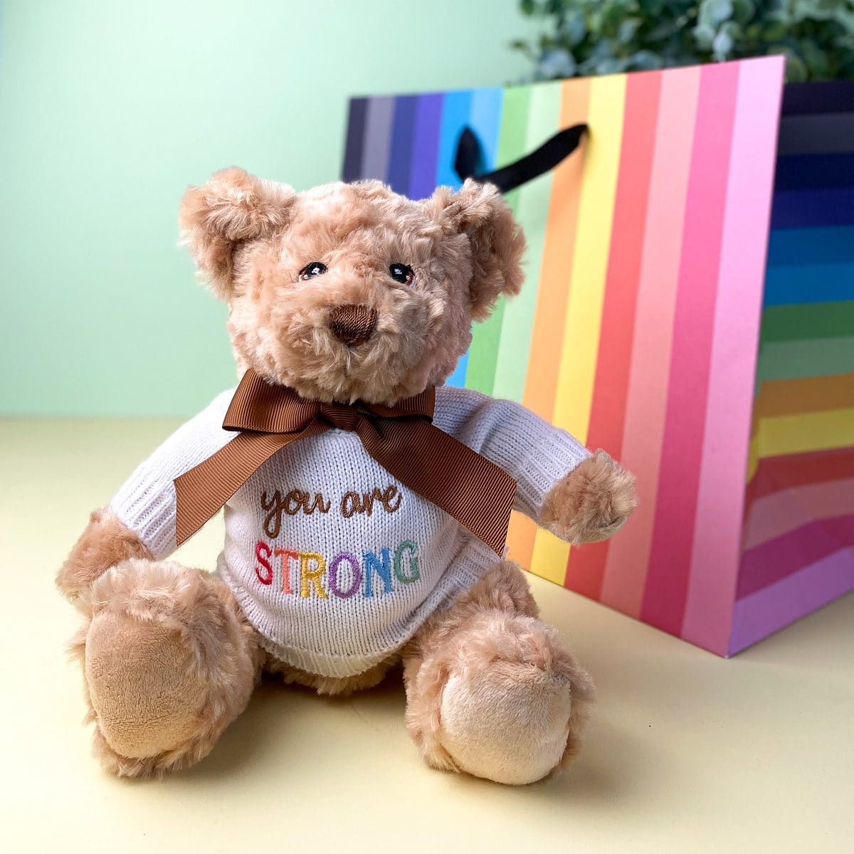 Keeleco recycled small Dougie caring bear soft toy with ‘You Are Strong’ jumper For Babies 2