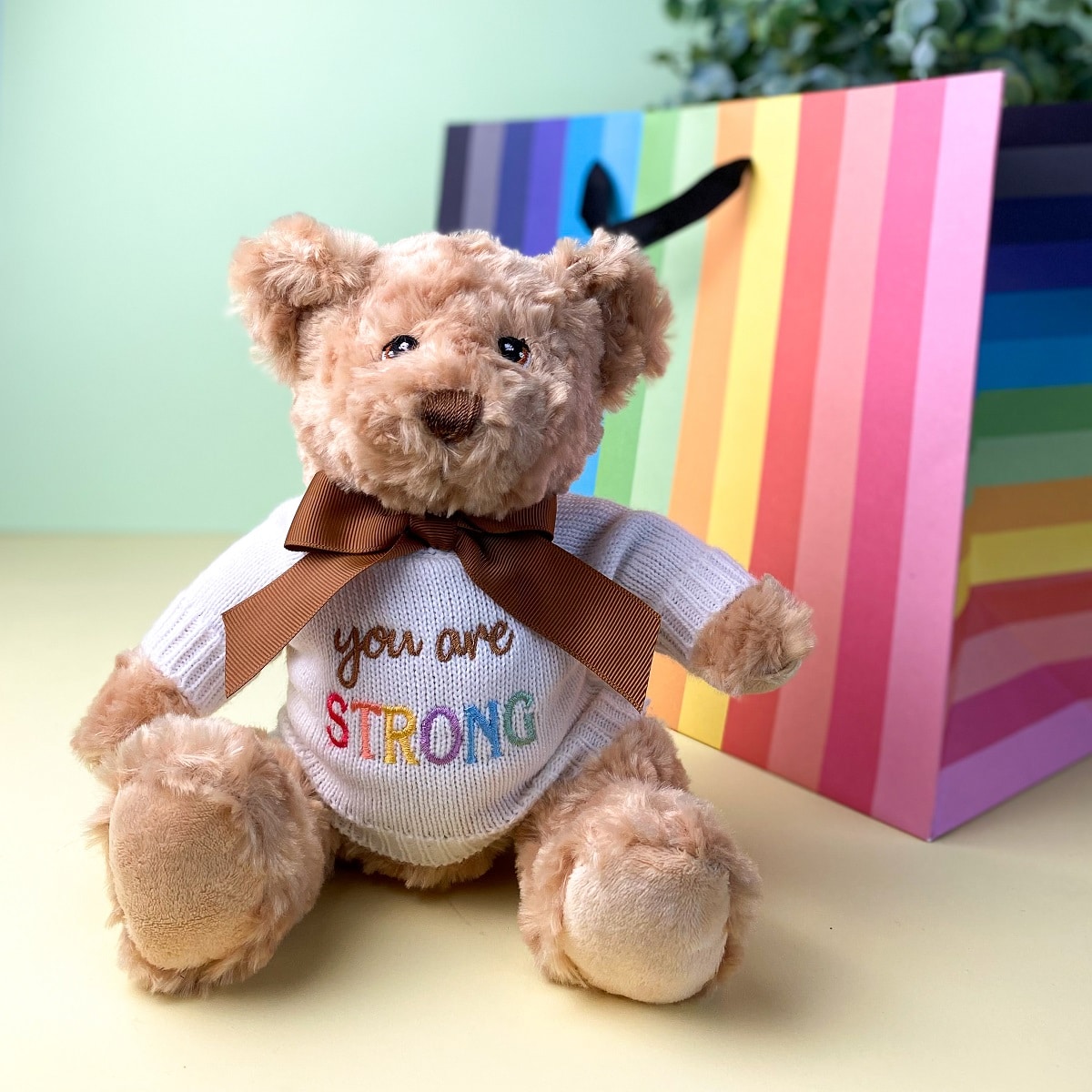 Keeleco recycled small Dougie caring bear soft toy with 'You Are Strong' jumper