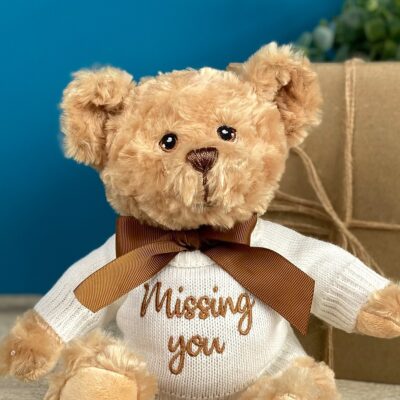 Father’s Day Keeleco recycled small Dougie gift bear soft toy with ‘Missing You’ jumper Father's Day Gifts 2