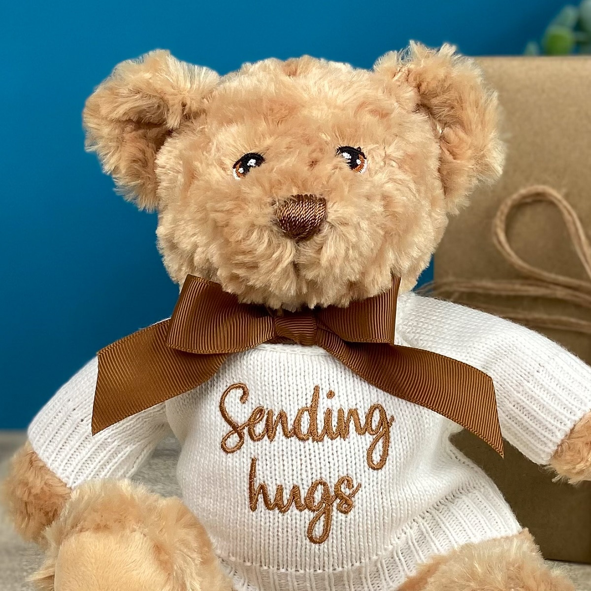 Keeleco recycled small Dougie caring bear soft toy with 'Sending Hugs' jumper