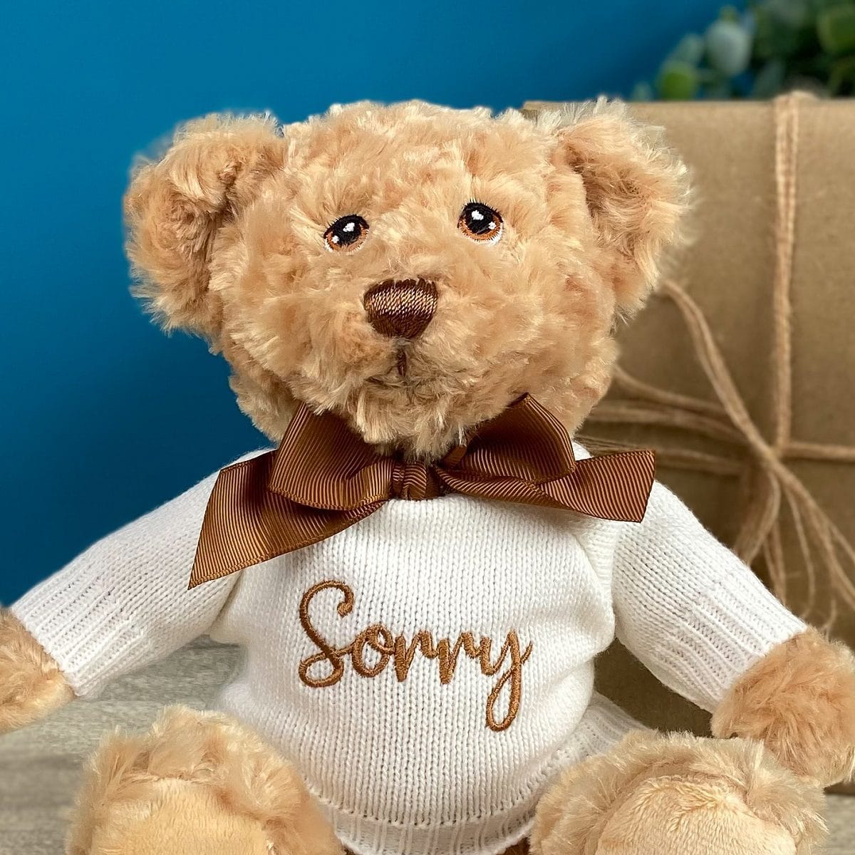 Keeleco recycled small Dougie caring bear soft toy with ‘Sorry’ jumper For Her 2