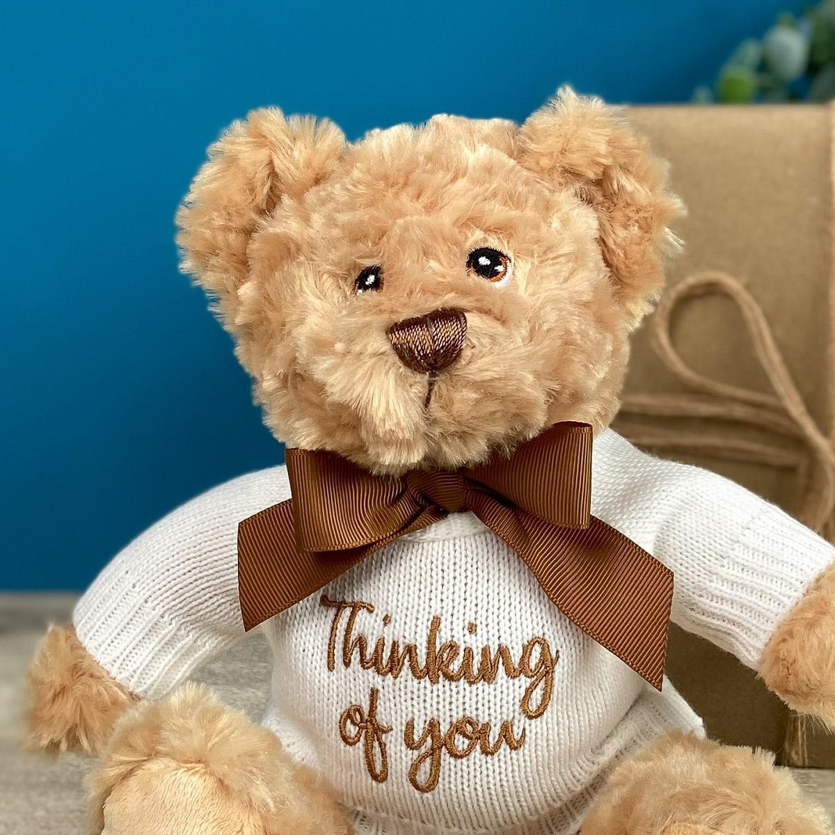 Keeleco recycled small Dougie caring bear soft toy with ‘Thinking of You’ jumper Anniversary Gifts 2