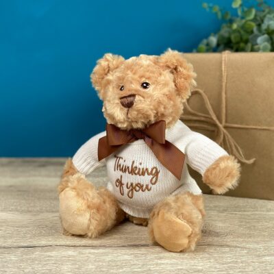 Keeleco recycled small Dougie caring bear soft toy with ‘Thinking of You’ jumper Anniversary Gifts 2