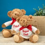 Father’s Day Keeleco recycled medium teddy bear soft toy Father's Day Gifts 5