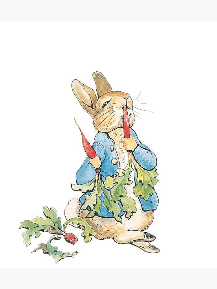 peter rabbit