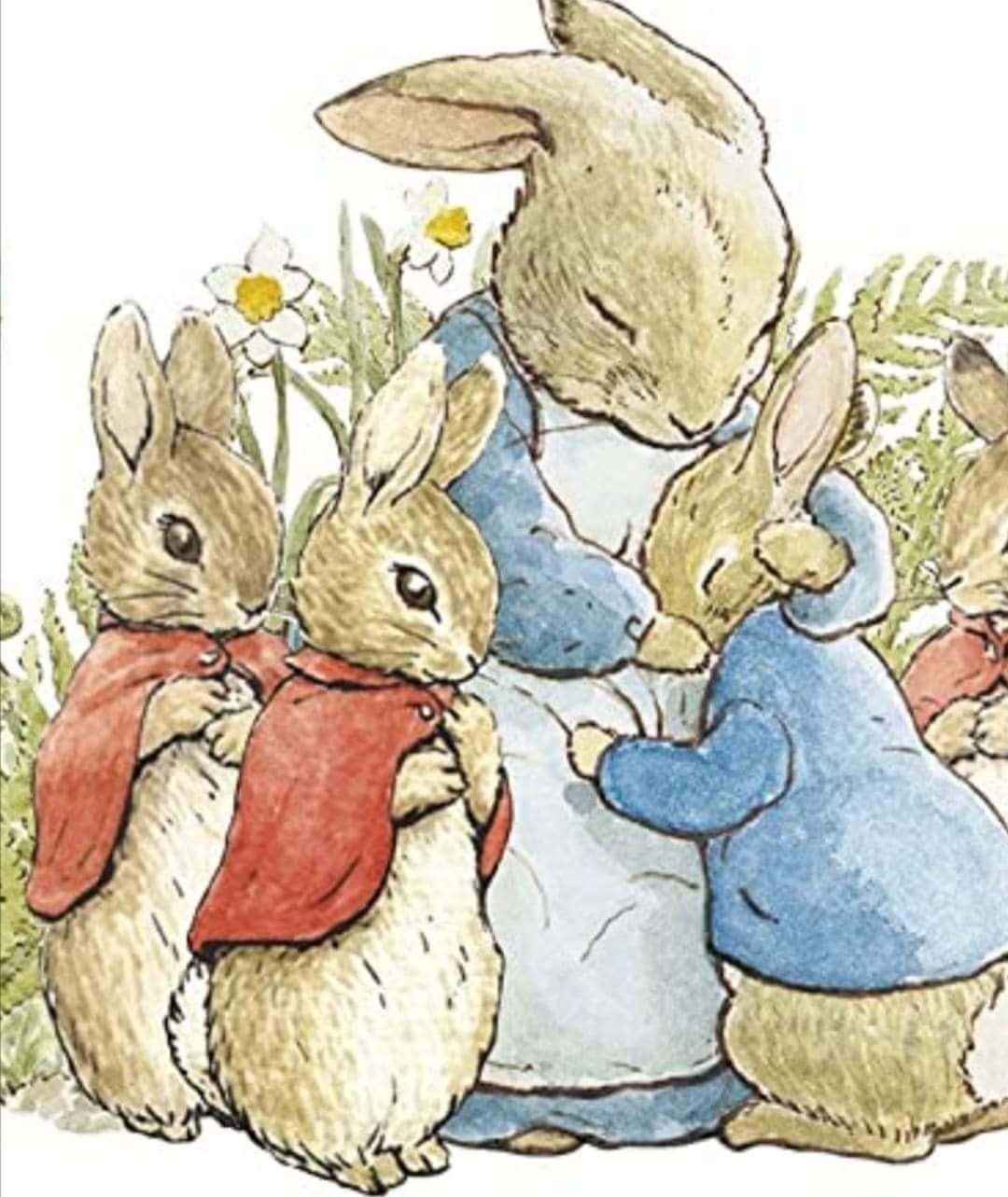 peter rabbit