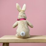 Flopsy Bunny signature collection large soft toy and The tale of the Flopsy Bunnies book Birthday Gifts 6