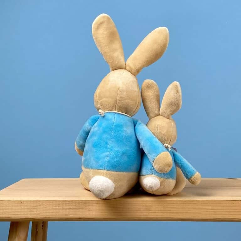 Peter Rabbit soft toy rattle and The tale of Peter Rabbit book | That's ...