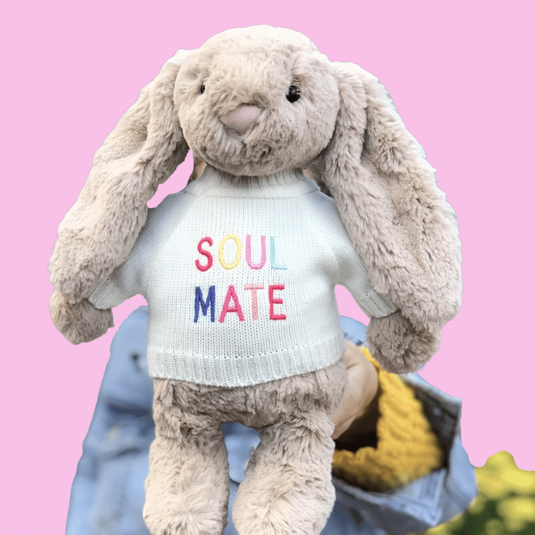 soul mate bunny teddy with jumper