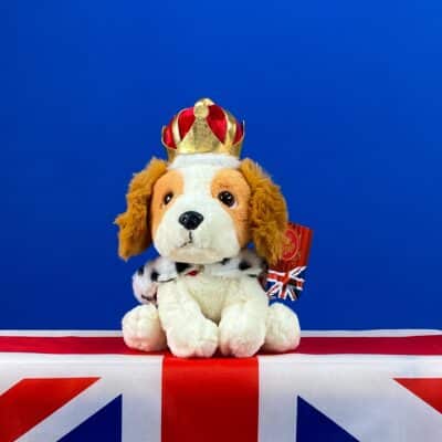 King Charles III Coronation 2023 collectable Keel King Charles Spaniel Personalised Baby Gift Offers and Sale 2