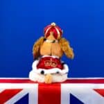 King Charles III Coronation 2023 collectable Keel King Charles Spaniel Personalised Baby Gift Offers and Sale 4