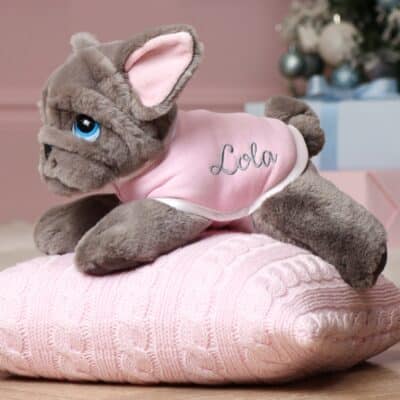 Personalised Keel signature bulldog puppy with coat Personalised Soft Toys