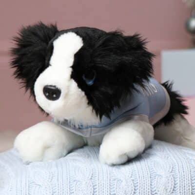 Personalised Keel signature border collie puppy with coat Personalised Soft Toys 2