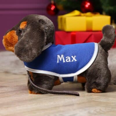 Personalised Keel signature dachshund puppy with lead and coat Personalised Soft Toys 2