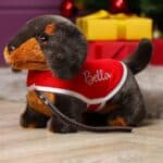 Personalised Keel signature dachshund puppy with lead and coat Birthday Gifts 5