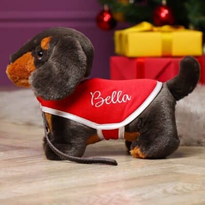 Personalised Keel signature dachshund puppy with lead and coat Personalised Soft Toys