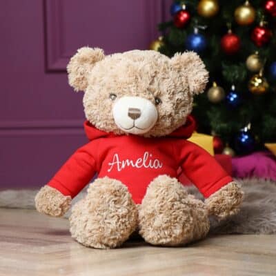 Personalised keeleco bramble recycled extra large teddy bear with hoodie Birthday Gifts