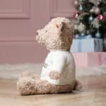 Personalised Steiff honey teddy bear large soft toy Birthday Gifts 6
