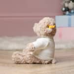 Personalised Steiff honey teddy bear medium soft toy Baby Shower Gifts 5