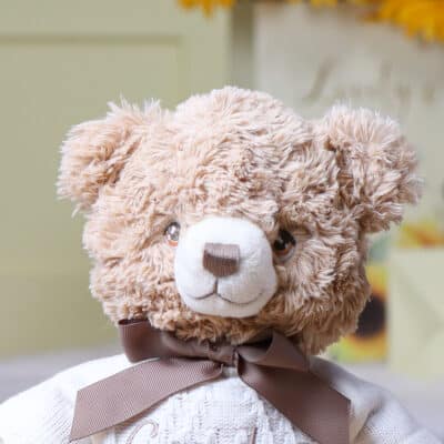 Personalised keeleco bramble medium teddy bear with Mother’s Day jumper Mother's Day Gifts 2