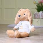 Max & Boo large bunny with Easter egg jumper Easter Gifts 8
