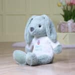 Max & Boo large bunny with Easter egg jumper Easter Gifts 7