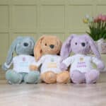 Max & Boo large bunny with Easter egg jumper Easter Gifts 3