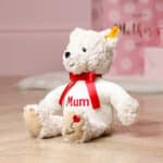 Personalised Steiff Jimmy love teddy bear Anniversary Gifts 5