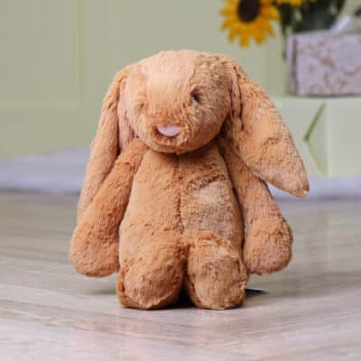 Personalised Jellycat golden bashful bunny soft toy Baby Shower Gifts 2