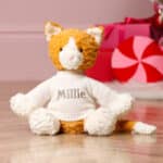 Personalised Jellycat fuddlewuddle ginger cat soft toy Jellycat 4