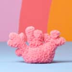Jellycat Amuseables Coral Jellycat 5