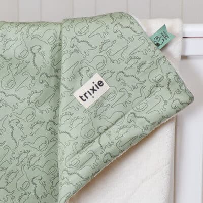 Personalised Trixie Daring Dino organic cotton fleece blanket Personalised Baby Blankets 2