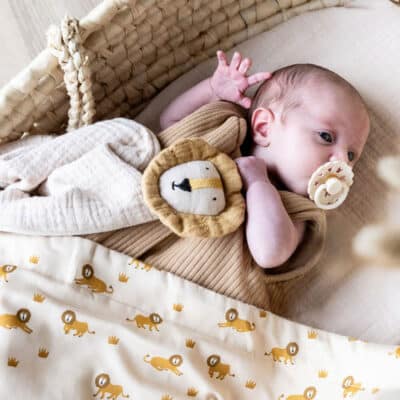 Personalised Trixie Lively Lion organic cotton fleece blanket Personalised Baby Blankets 2