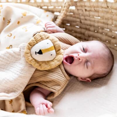 Personalised Trixie Mr Lion Bliss Beige Comforter Comforters and Soothers 2