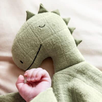 Personalised Trixie Mr Dino Bliss Sage Comforter Comforters and Soothers 2