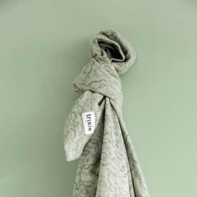 Personalised Trixie Daring Dino 3 pack muslin cloths Comforters and Soothers 2