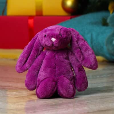 Jellycat allium little bashful bunny soft toy Christmas Gifts 2